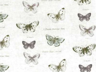 Stuart Jones A But 188 Butterfly